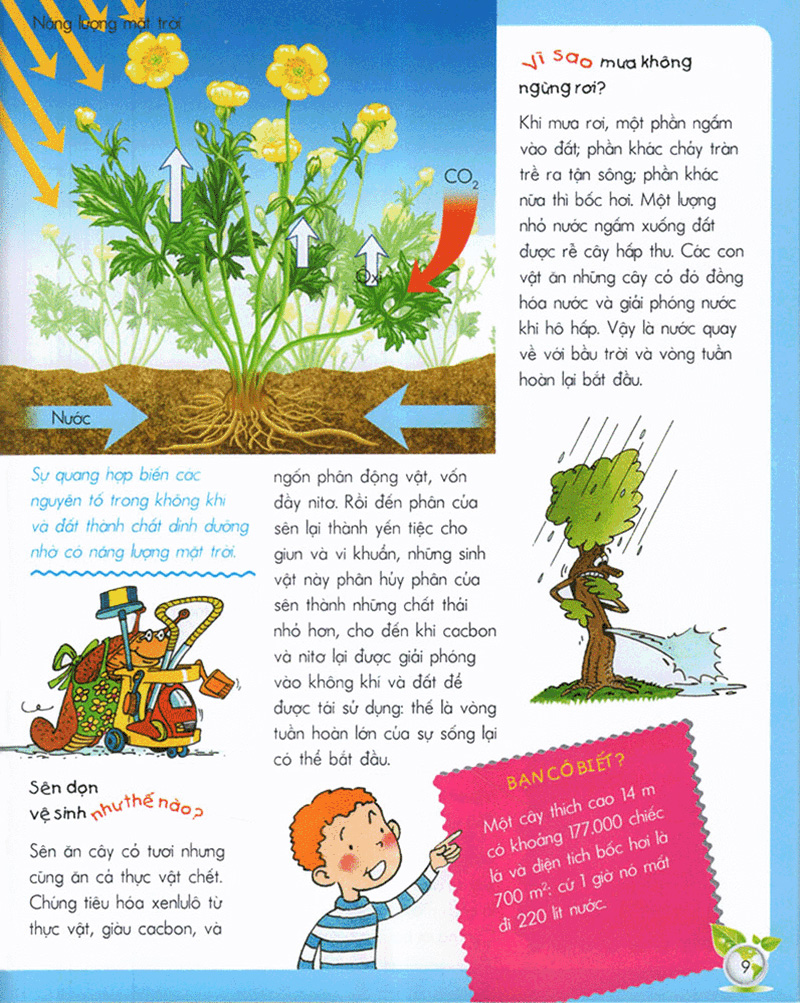 vì sao? như thế nào? - sinh thái (tái bản 2017)