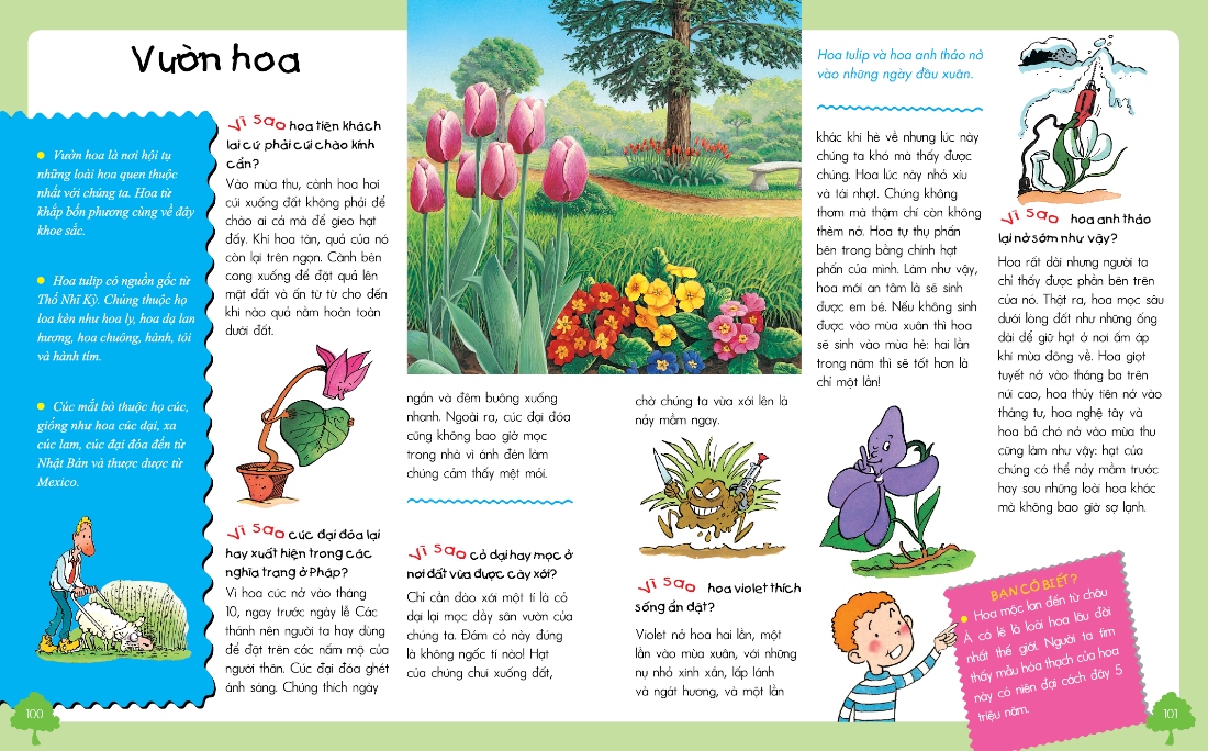 vì sao? như thế nào? thế giới tự nhiên (tái bản)