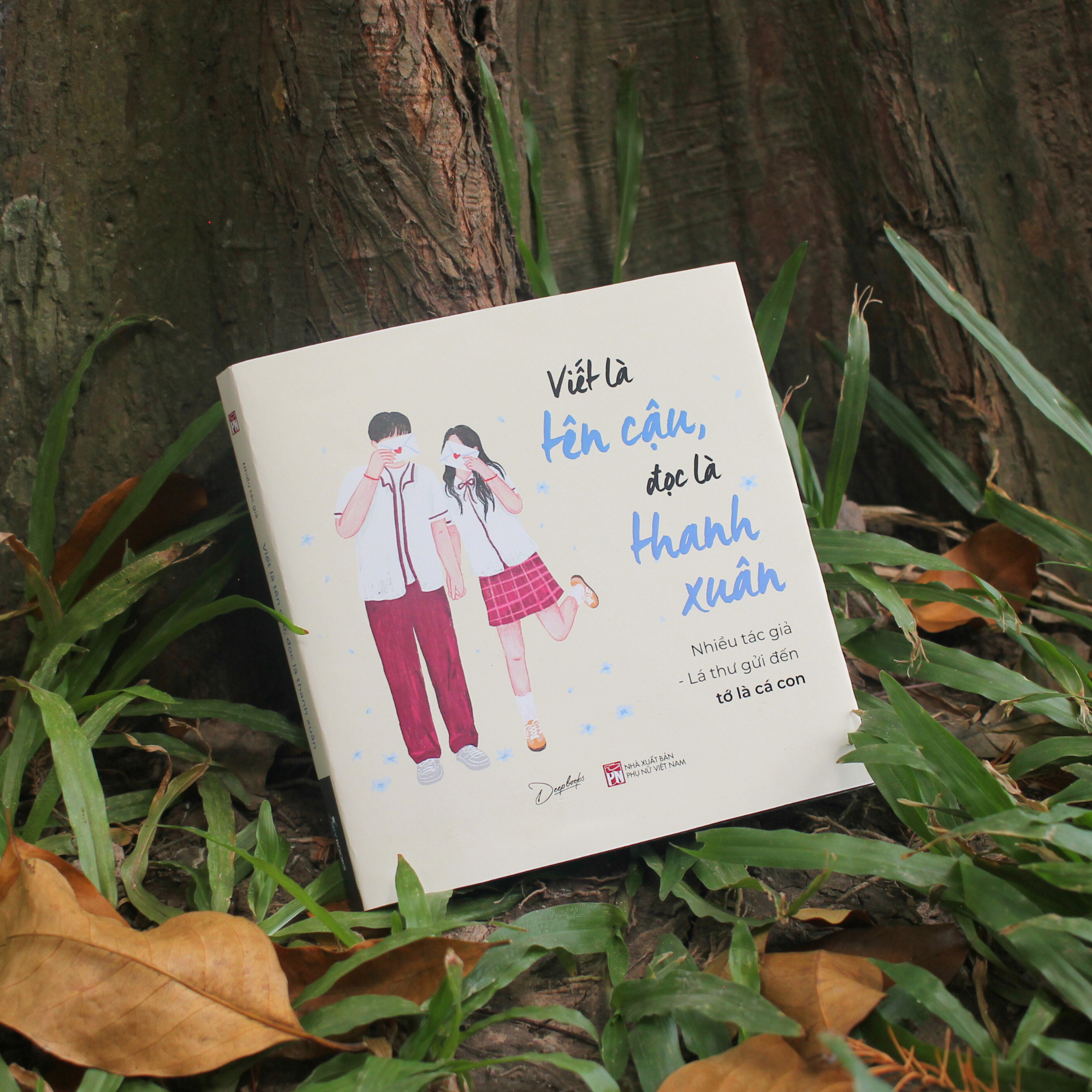 viết là tên cậu - đọc là thanh xuân