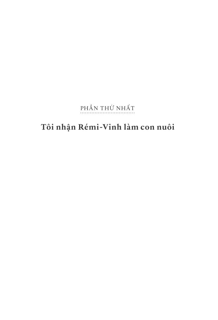 việt nam của tôi - những câu chuyện nhận con nuôi