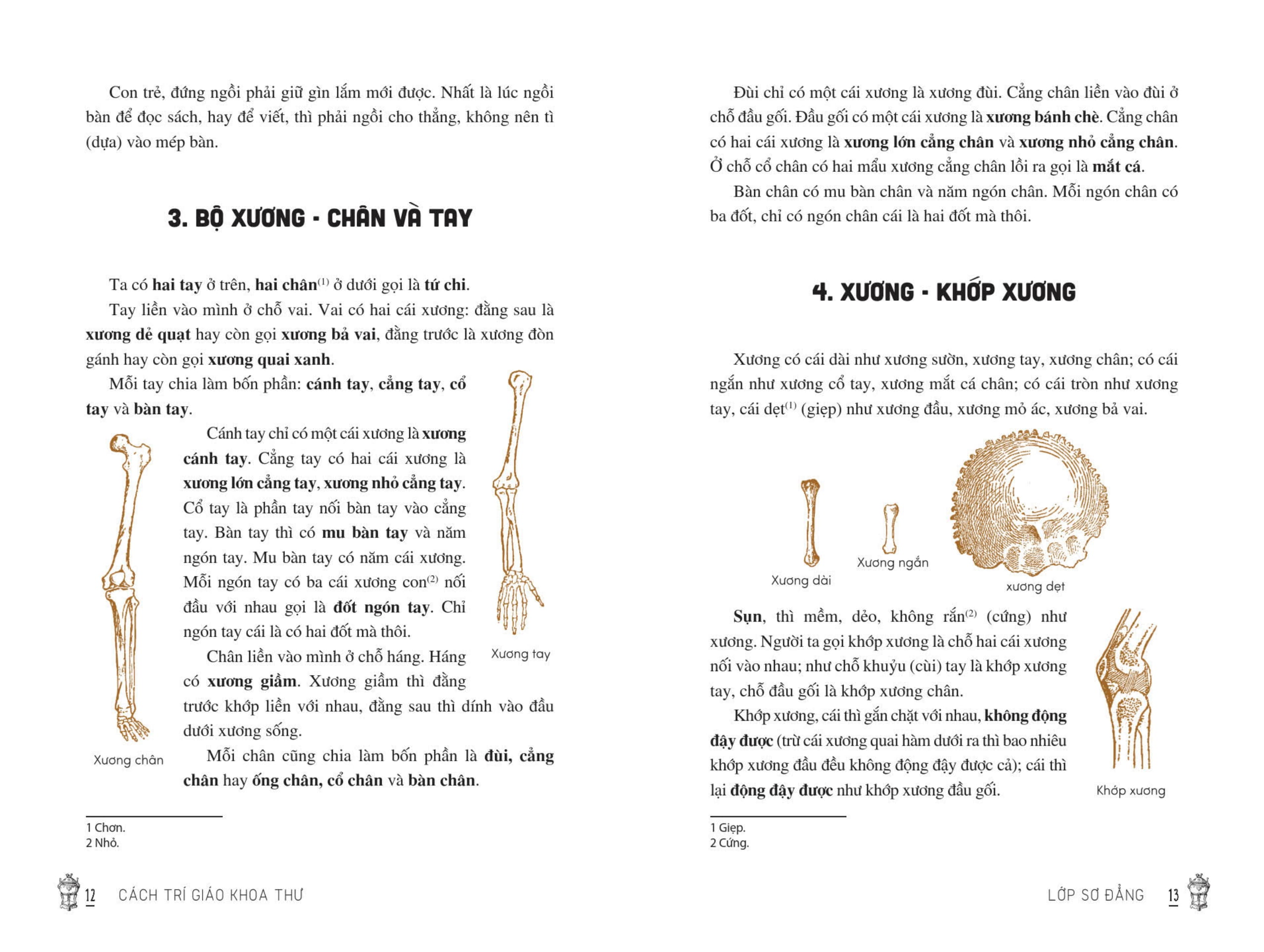 Viet Nam Tieu Hoc Tung Thu - Cach Tri Giao Khoa Thu (Tai Ban 2025)