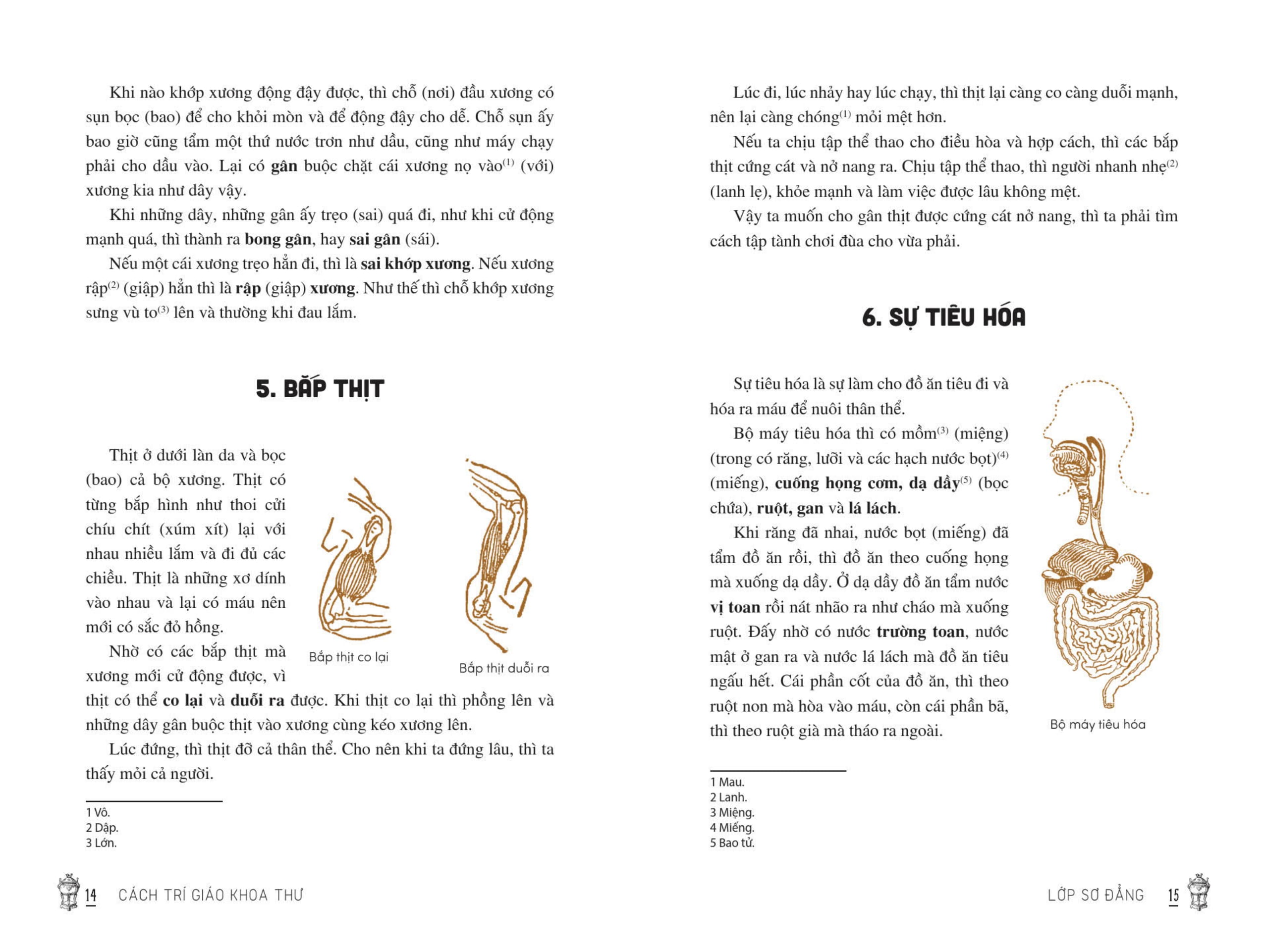 Viet Nam Tieu Hoc Tung Thu - Cach Tri Giao Khoa Thu (Tai Ban 2025)