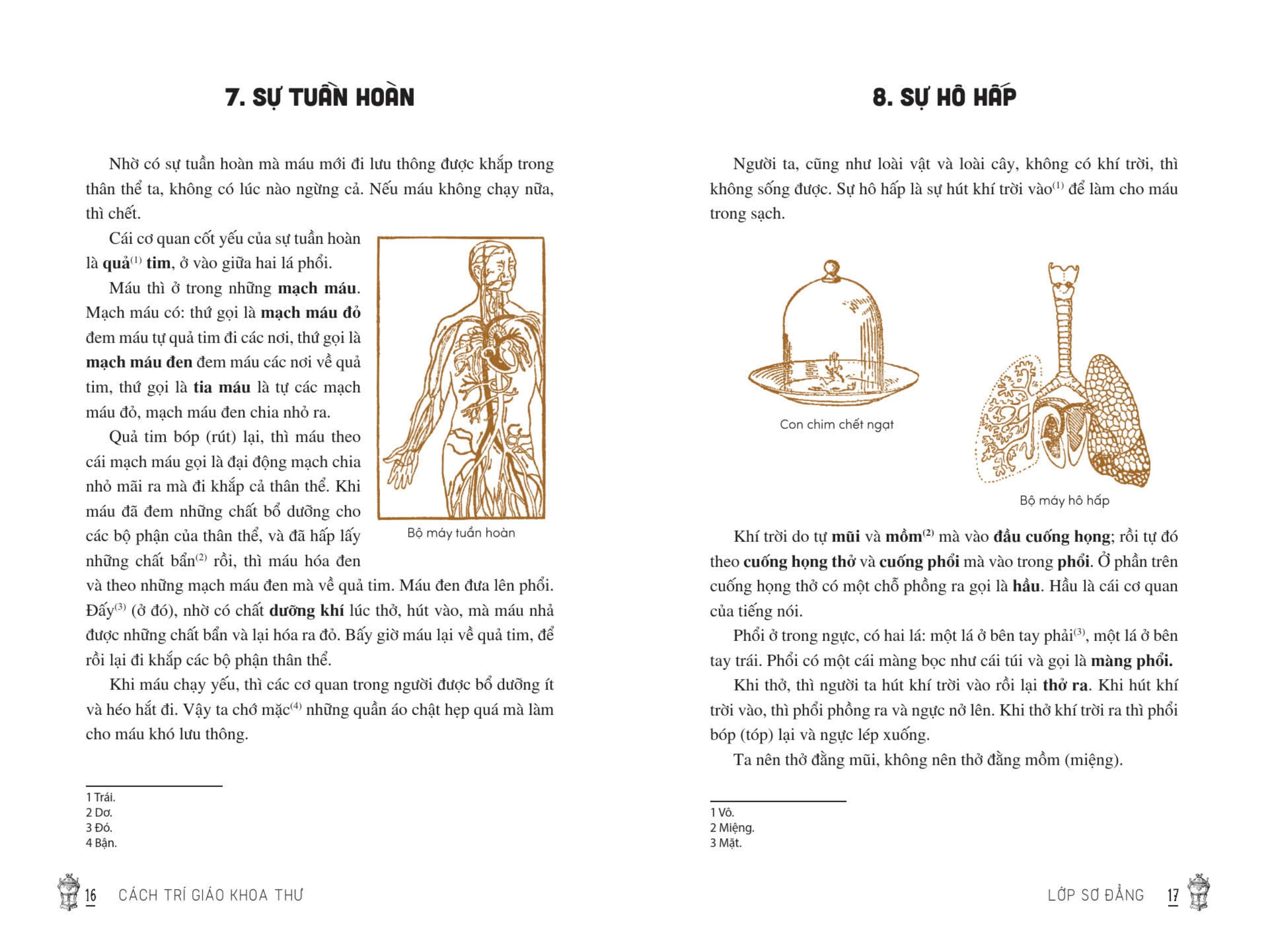 Viet Nam Tieu Hoc Tung Thu - Cach Tri Giao Khoa Thu (Tai Ban 2025)