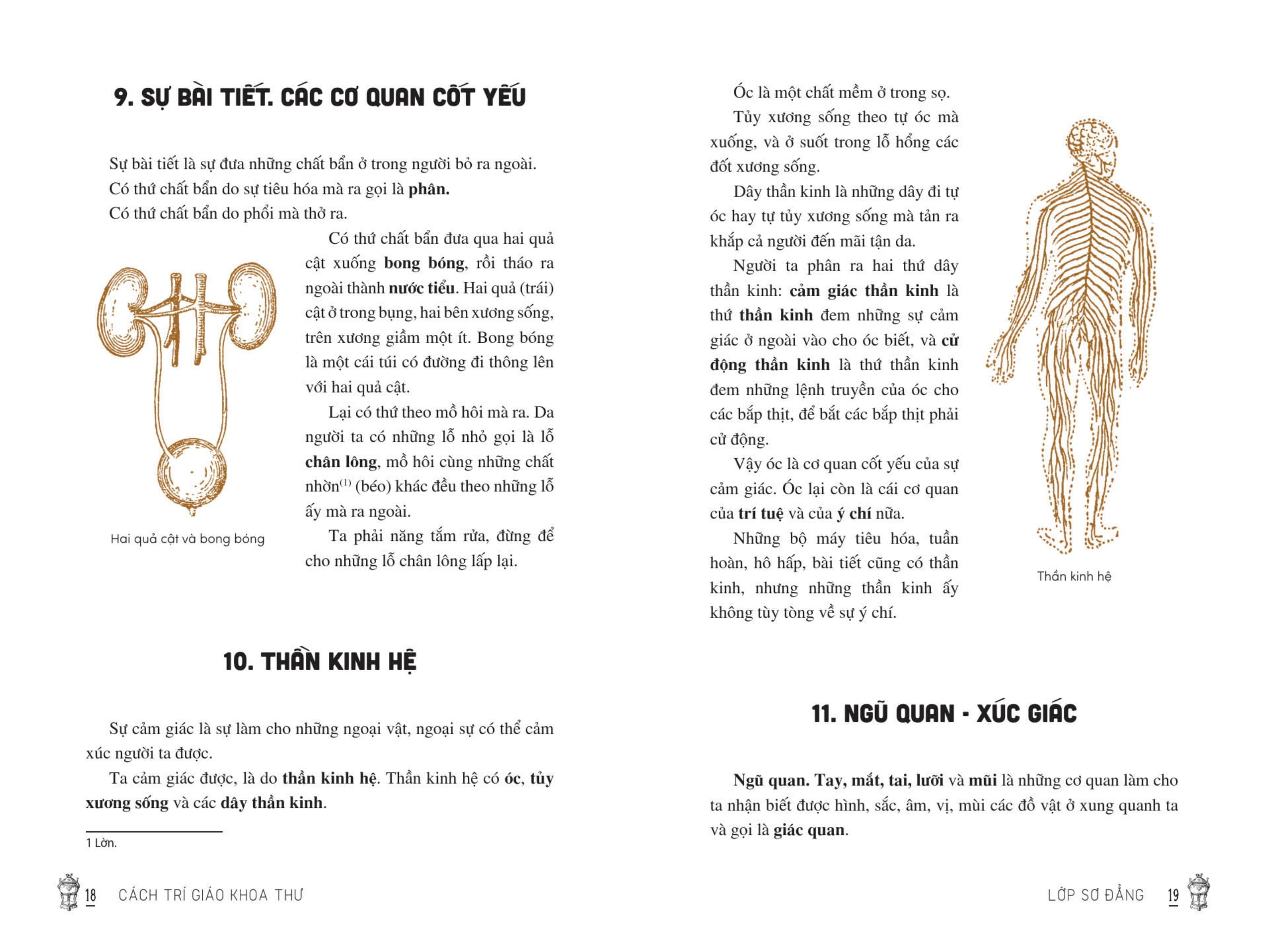 Viet Nam Tieu Hoc Tung Thu - Cach Tri Giao Khoa Thu (Tai Ban 2025)