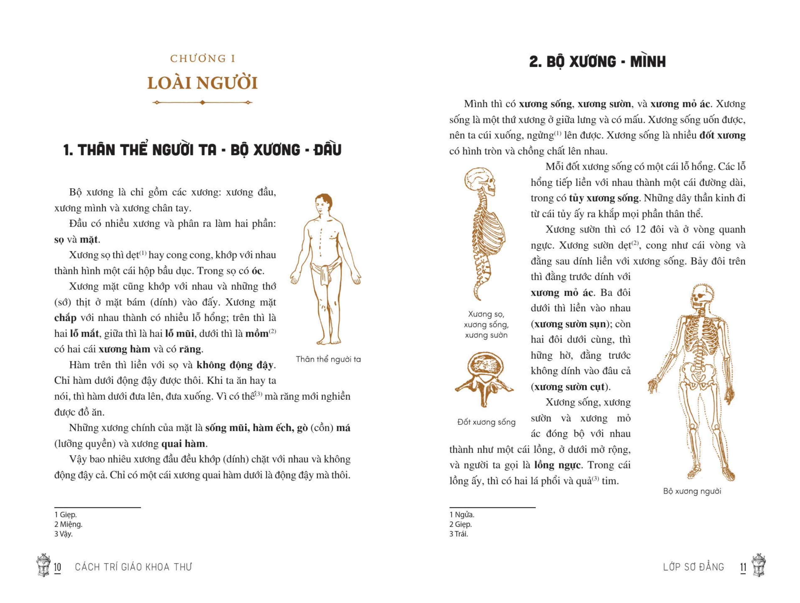 Viet Nam Tieu Hoc Tung Thu - Cach Tri Giao Khoa Thu (Tai Ban 2025)