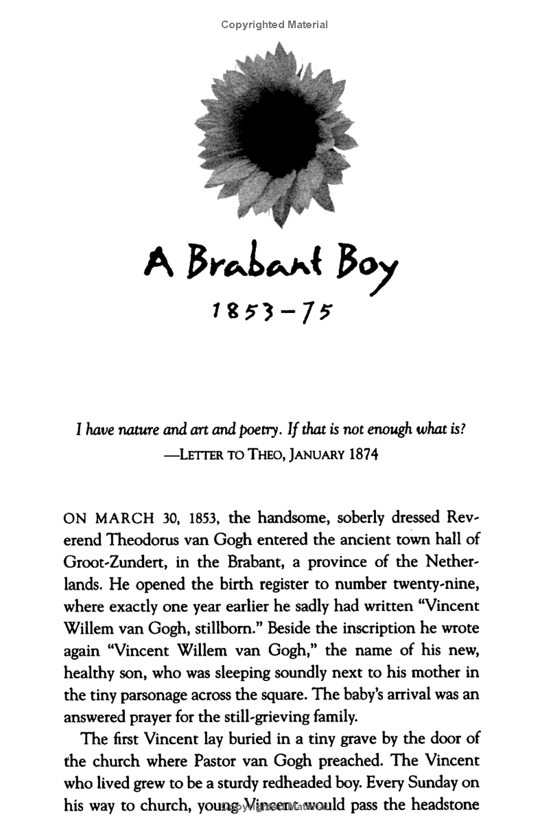 vincent van gogh - portrait of an artist