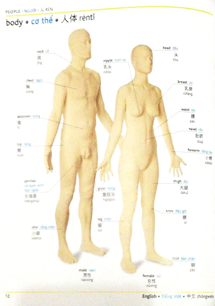 visual english vietnamese chinese trillingual dictinonary