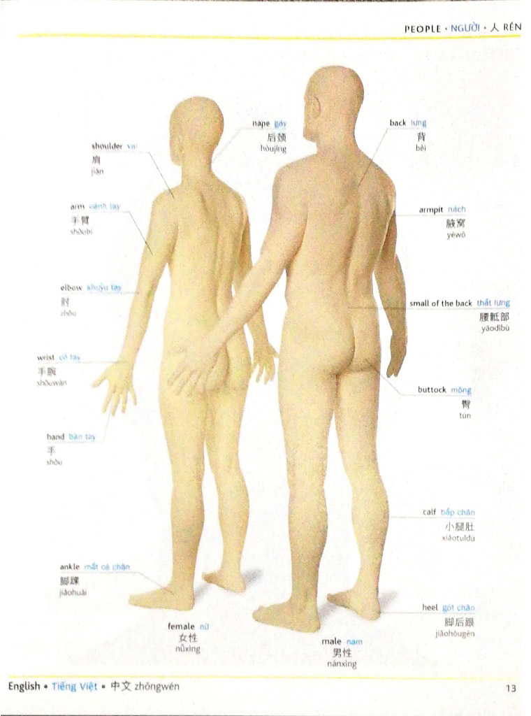 visual english vietnamese chinese trillingual dictinonary