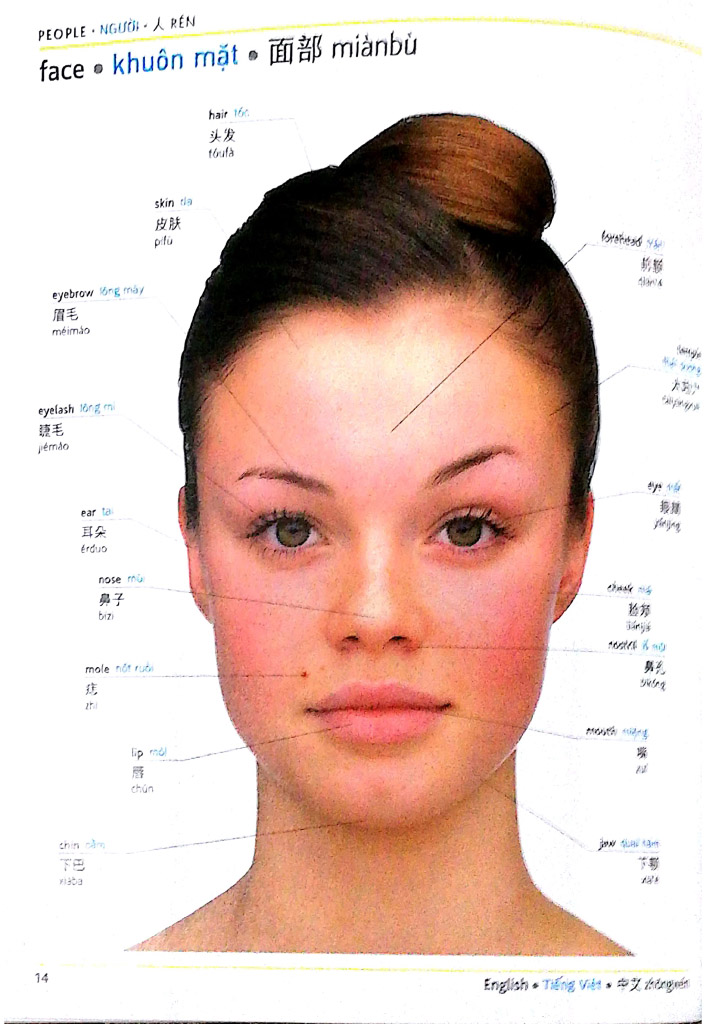 visual english vietnamese chinese trillingual dictinonary