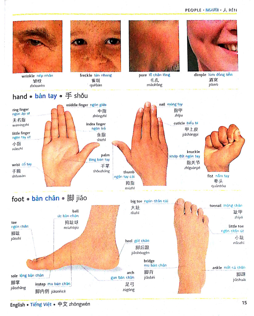 visual english vietnamese chinese trillingual dictinonary