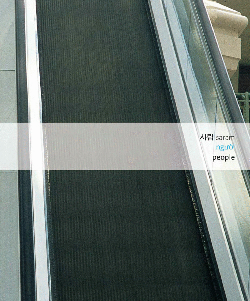 visual korean vietnamese english trilingual dictionary