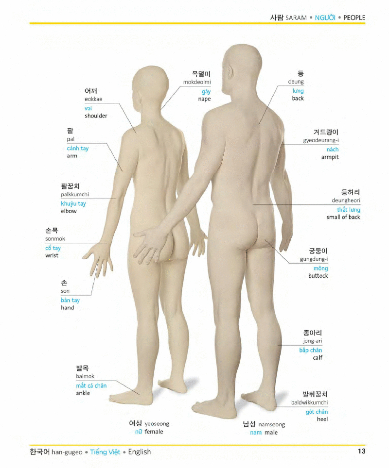 visual korean vietnamese english trilingual dictionary