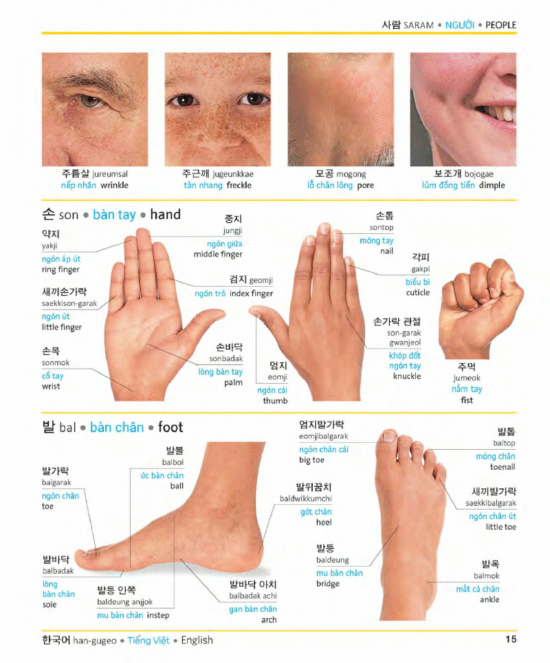 visual korean vietnamese english trilingual dictionary