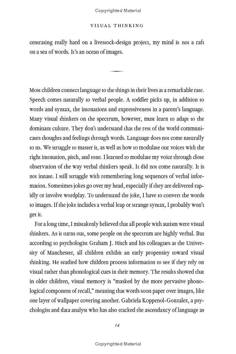 visual thinking