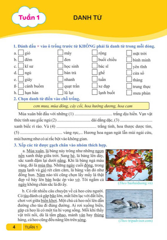 vở bài tập nâng cao từ và câu 4 (kết nối)