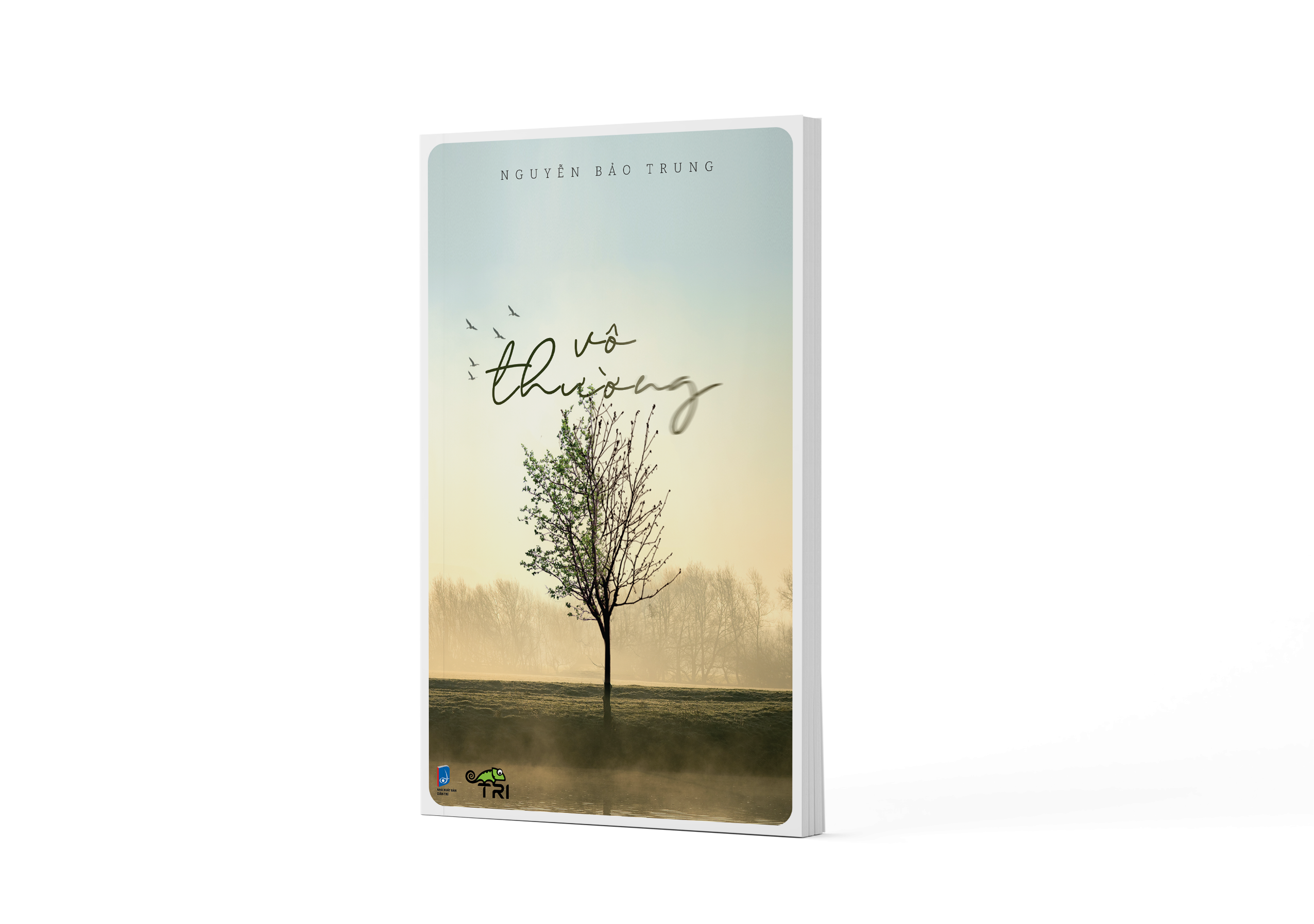 vô thường (tái bản)