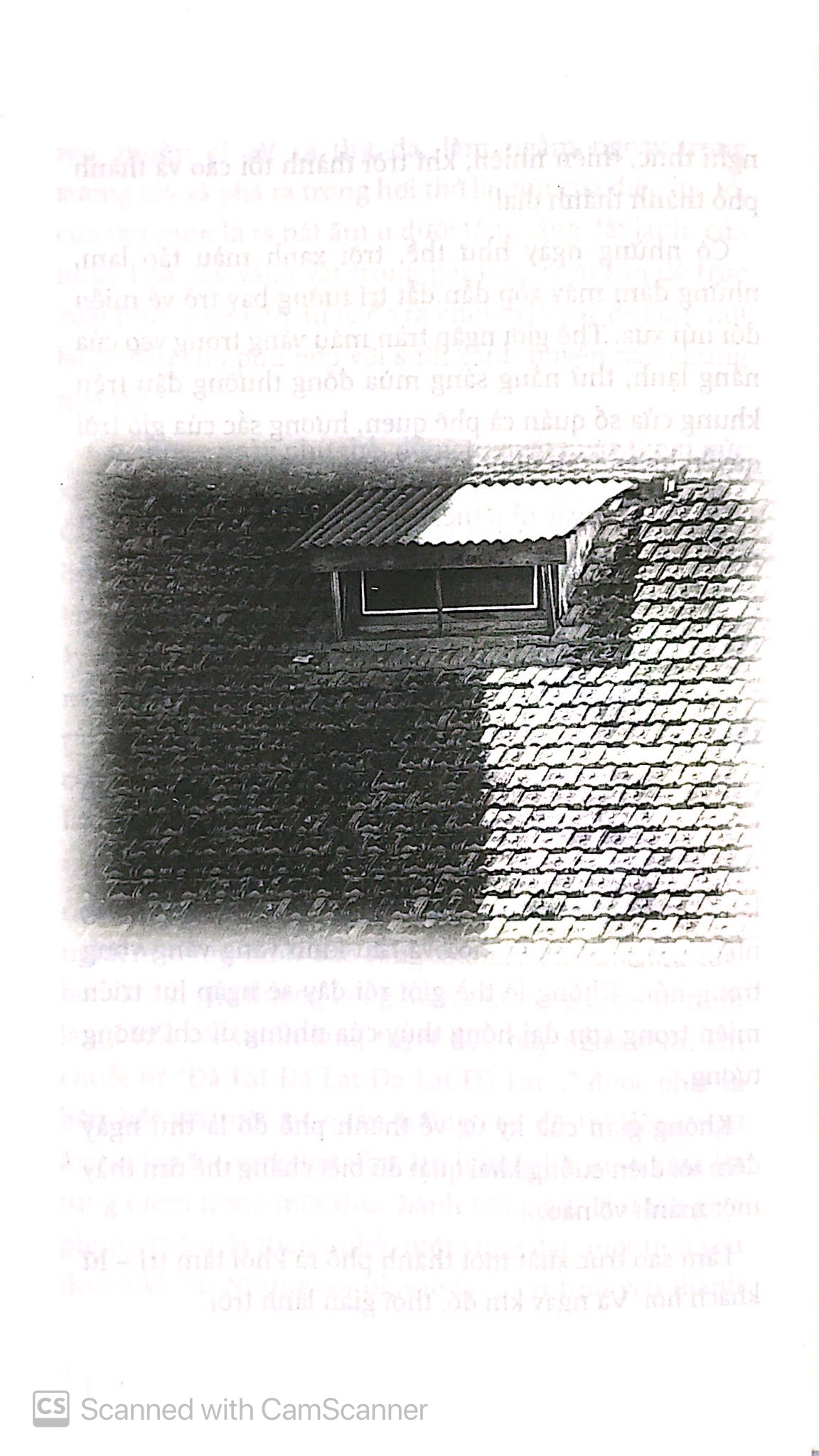 với đà lạt ai cũng là lữ khách (tái bản 2024)