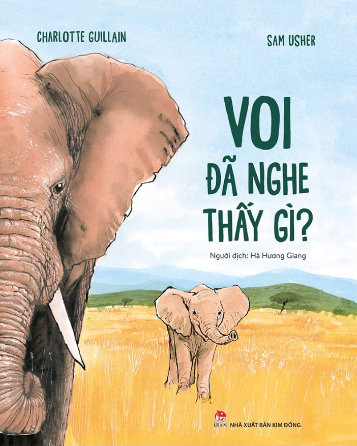 voi đã nghe thấy gì