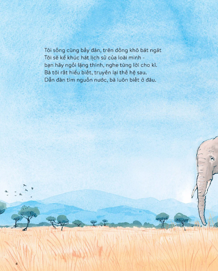 voi đã nghe thấy gì