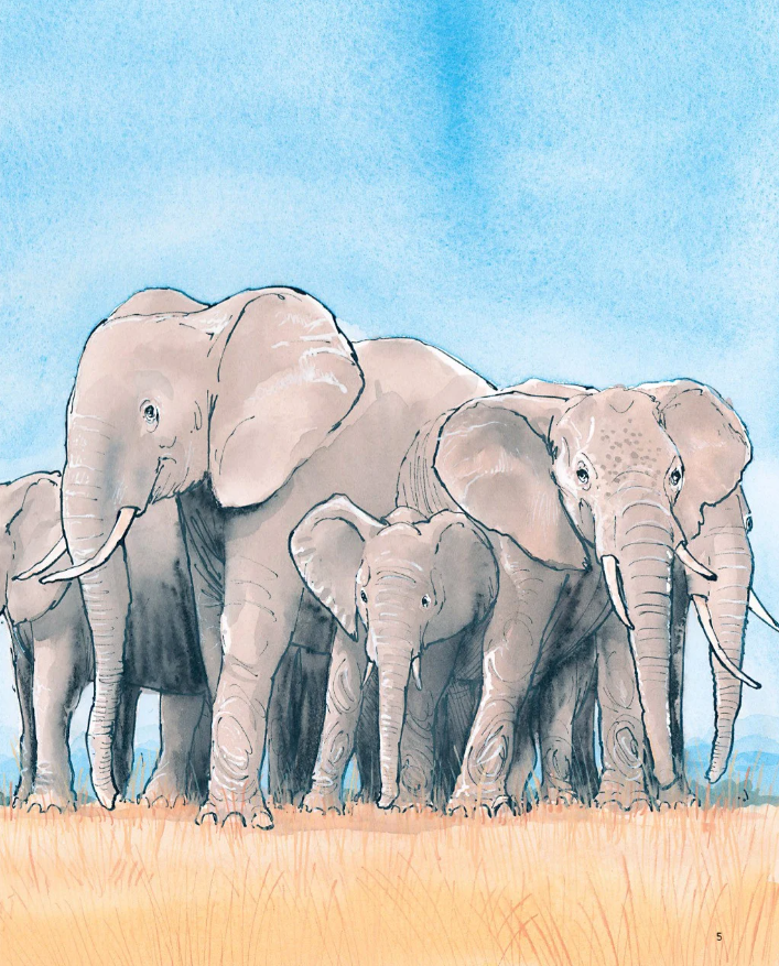 voi đã nghe thấy gì