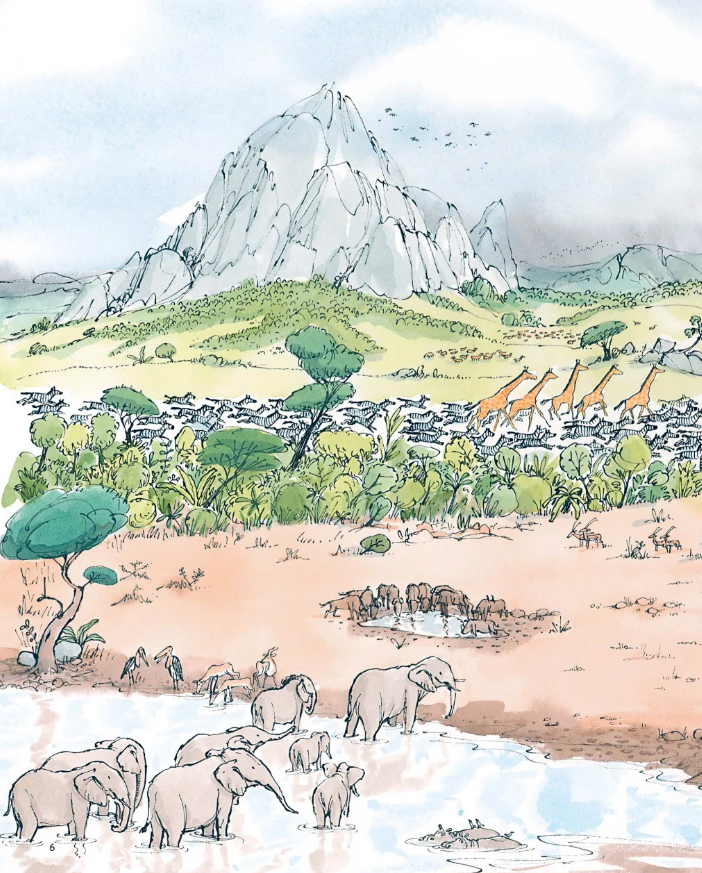 voi đã nghe thấy gì