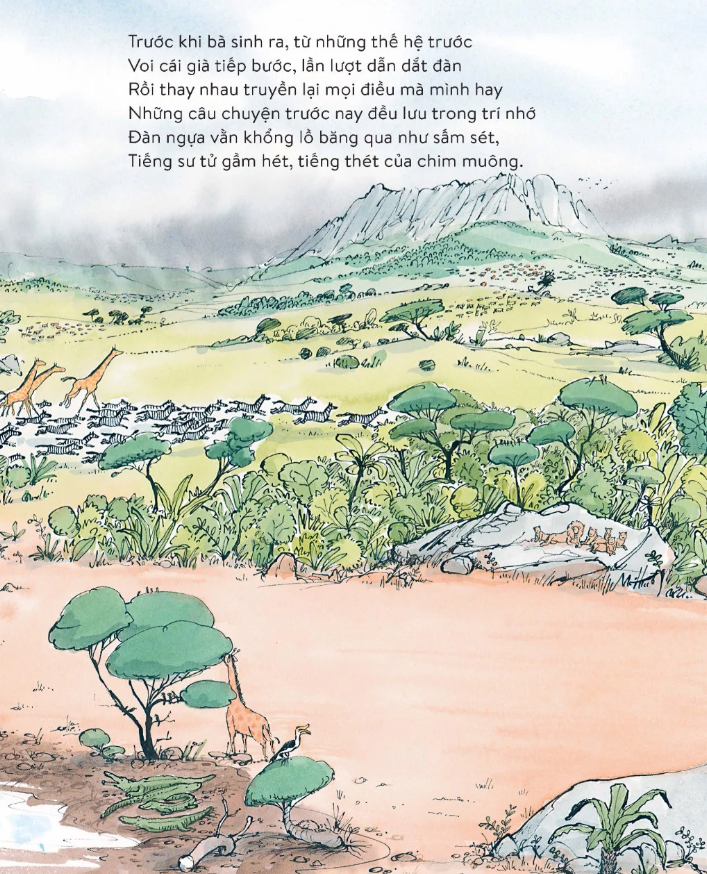 voi đã nghe thấy gì