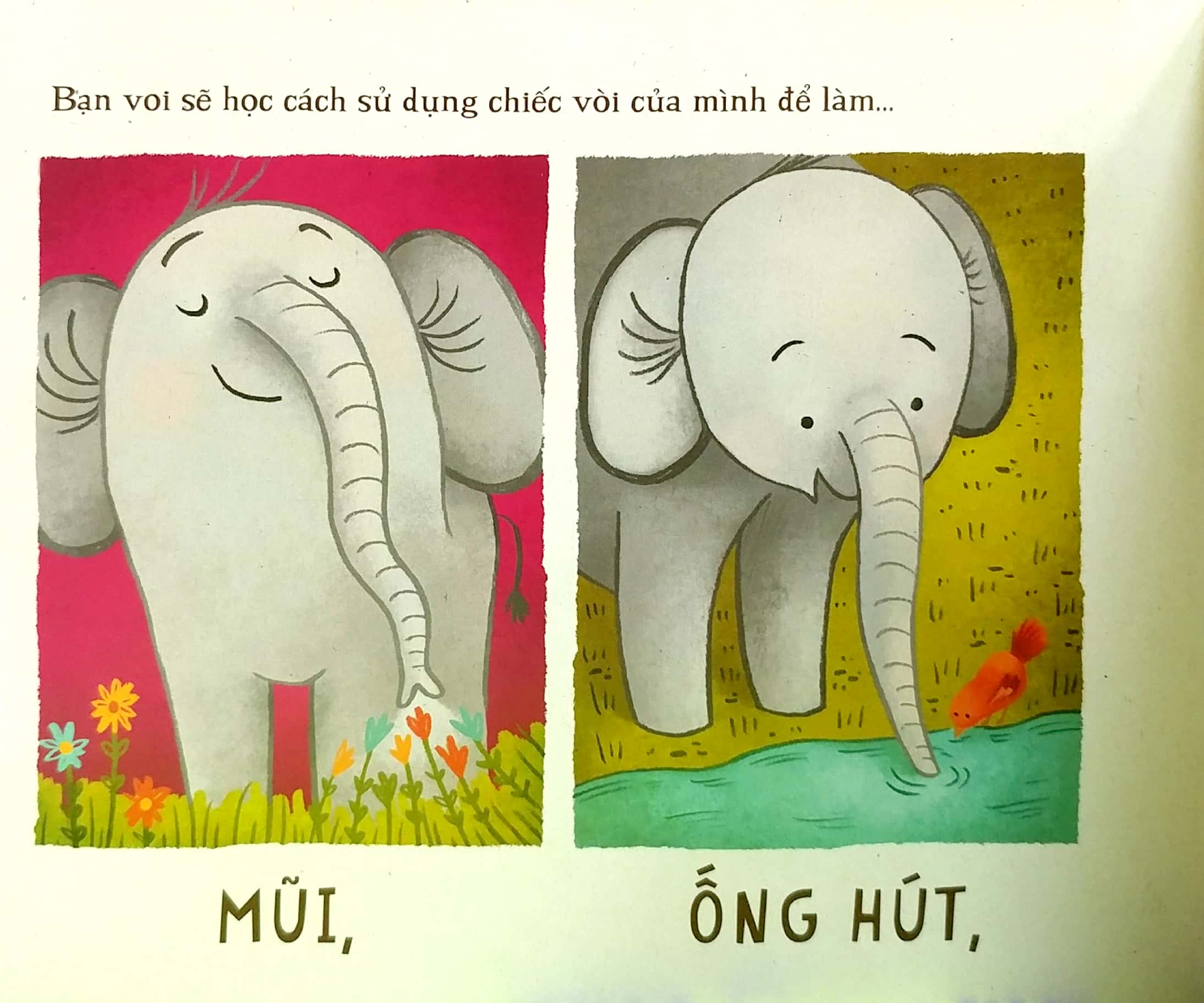 voi học gì ở trường thế nhỉ?