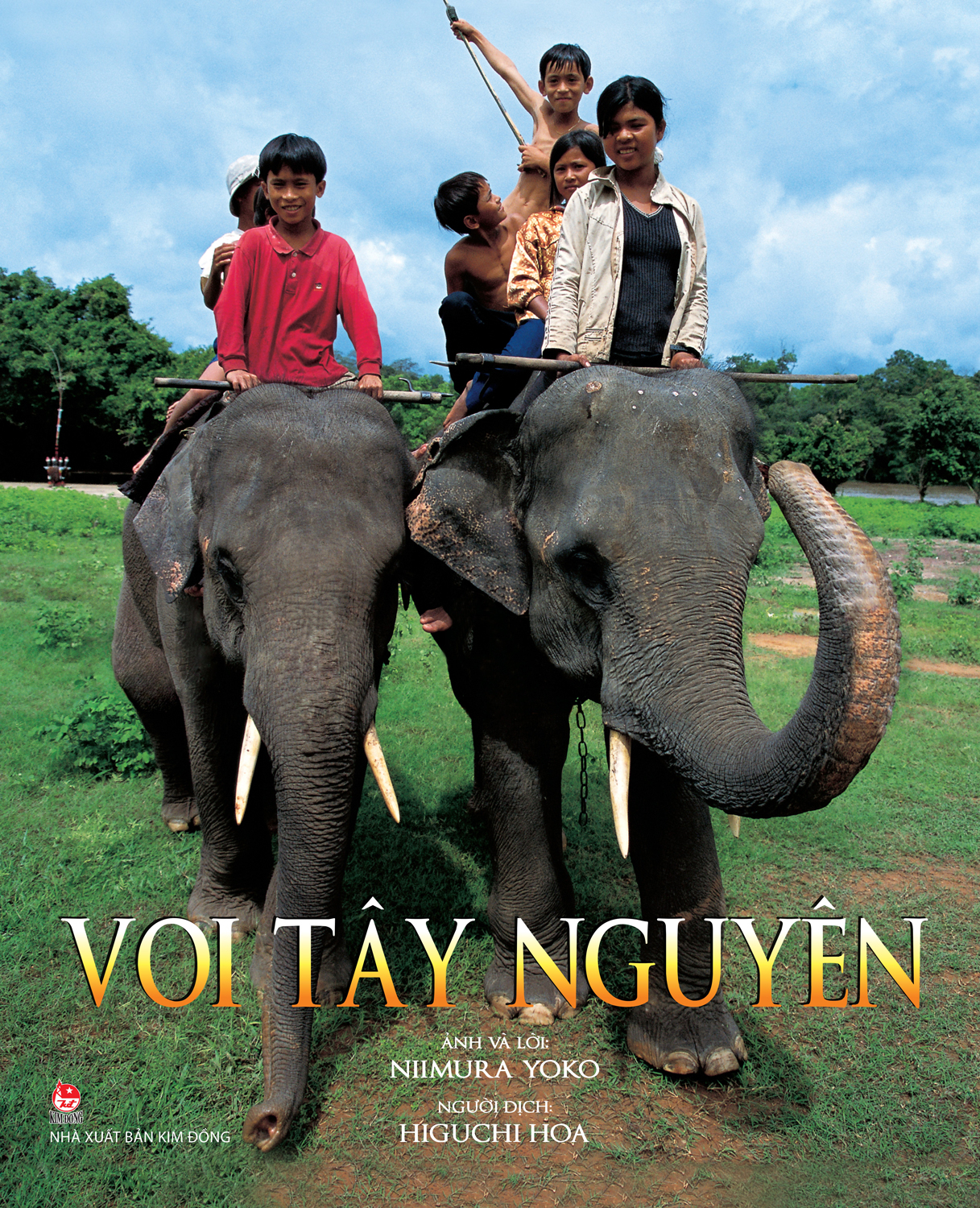 voi tây nguyên (tái bản 2024)