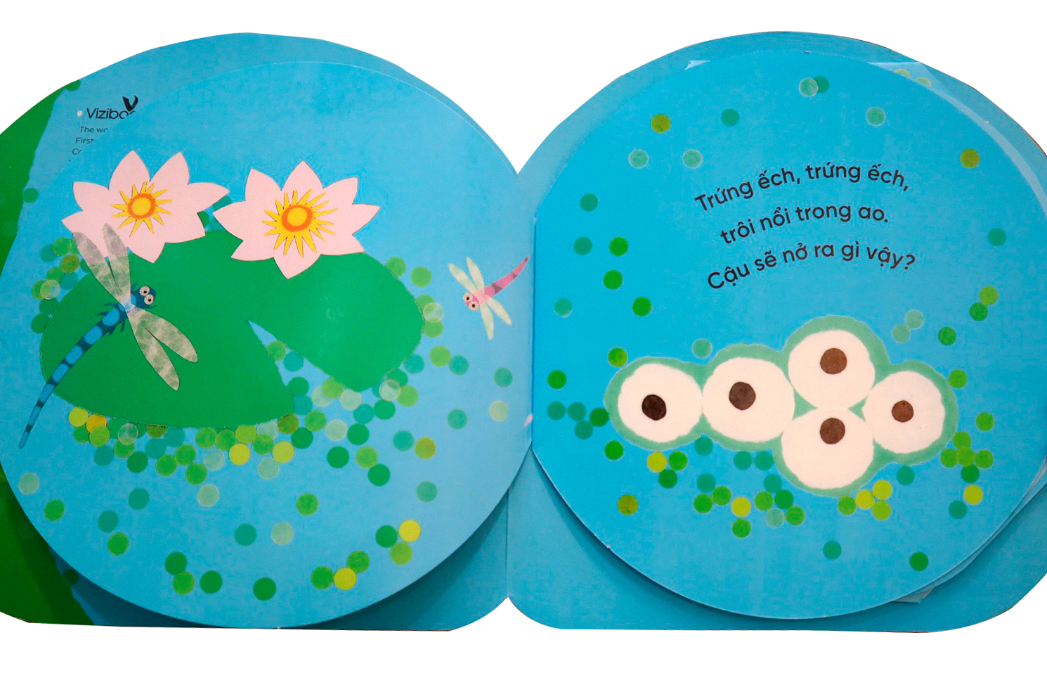 vòng đời kỳ diệu - ếch xanh bé nhỏ