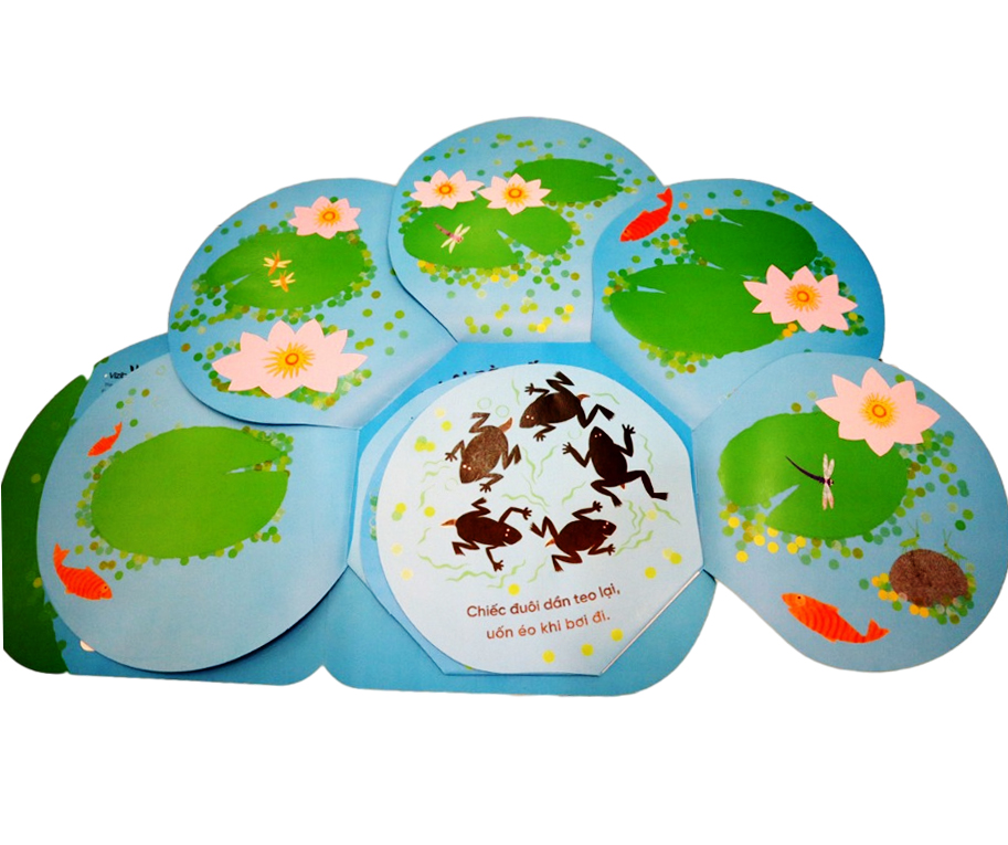 vòng đời kỳ diệu - ếch xanh bé nhỏ