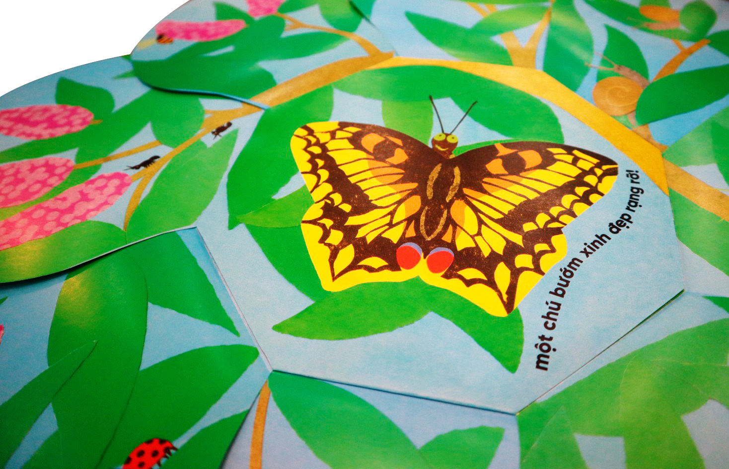 vòng đời kỳ diệu - sâu nhỏ hóa bướm