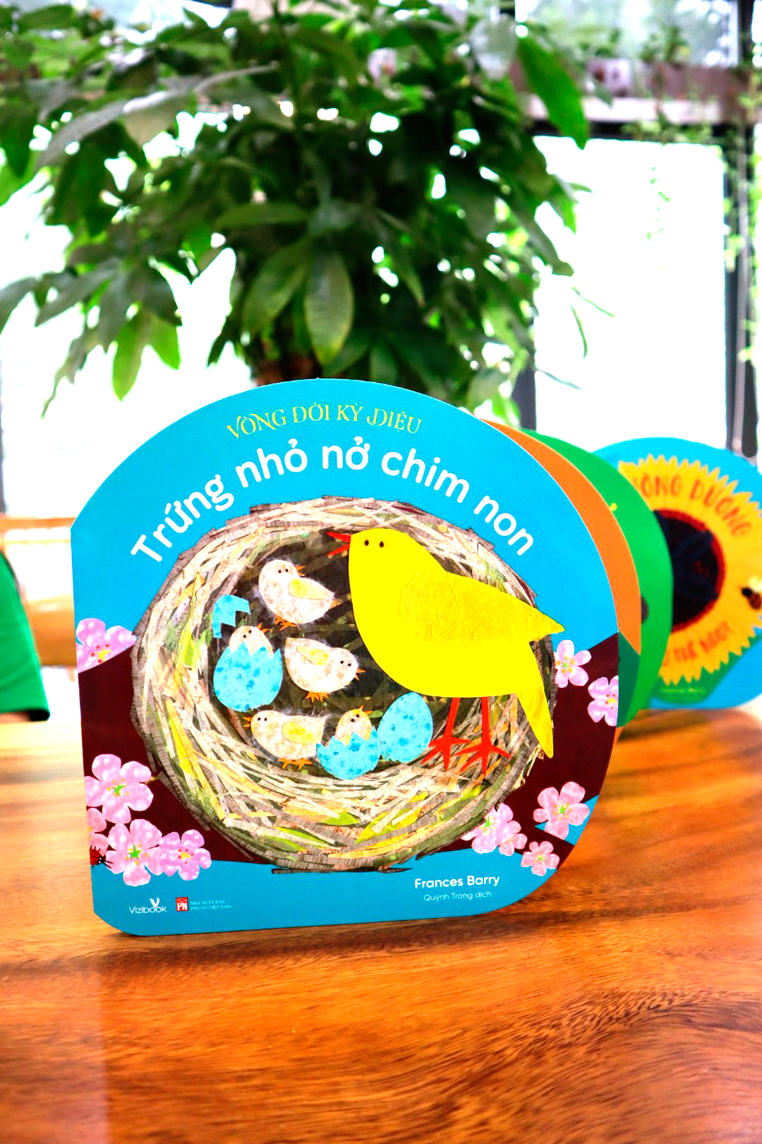 vòng đời kỳ diệu - trứng nhỏ nở chim non