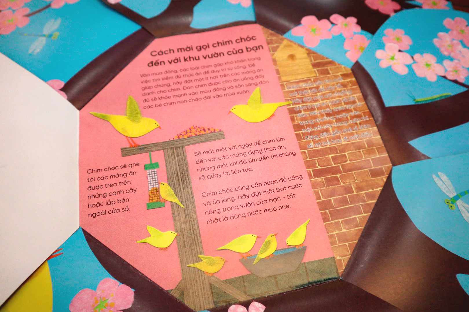 vòng đời kỳ diệu - trứng nhỏ nở chim non