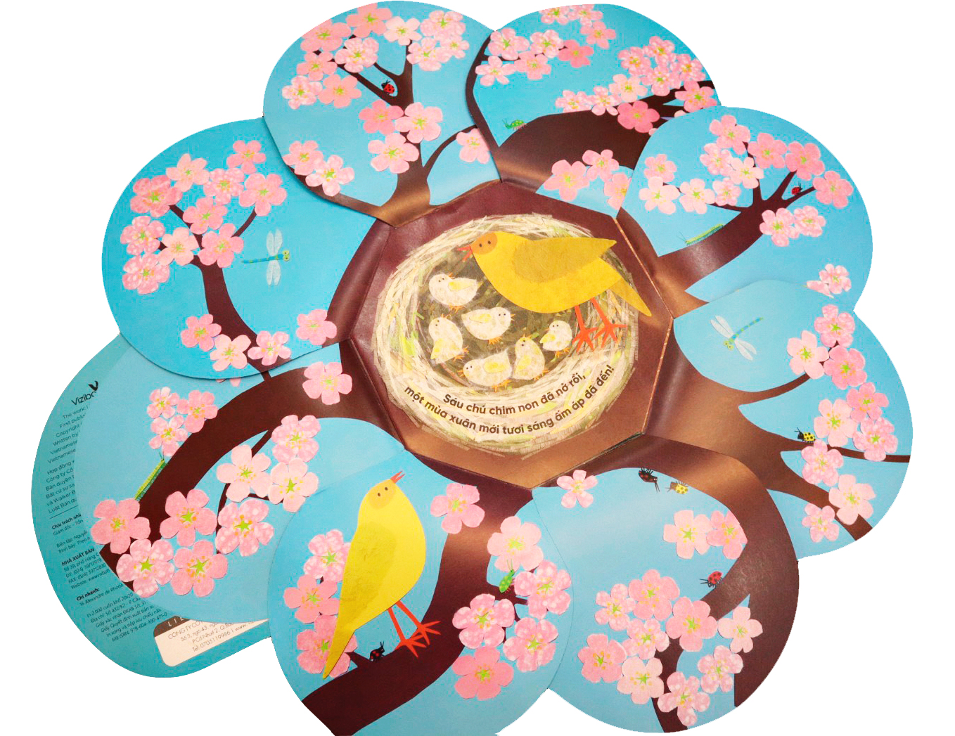 vòng đời kỳ diệu - trứng nhỏ nở chim non