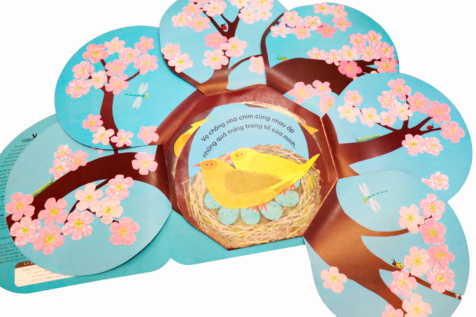 vòng đời kỳ diệu - trứng nhỏ nở chim non