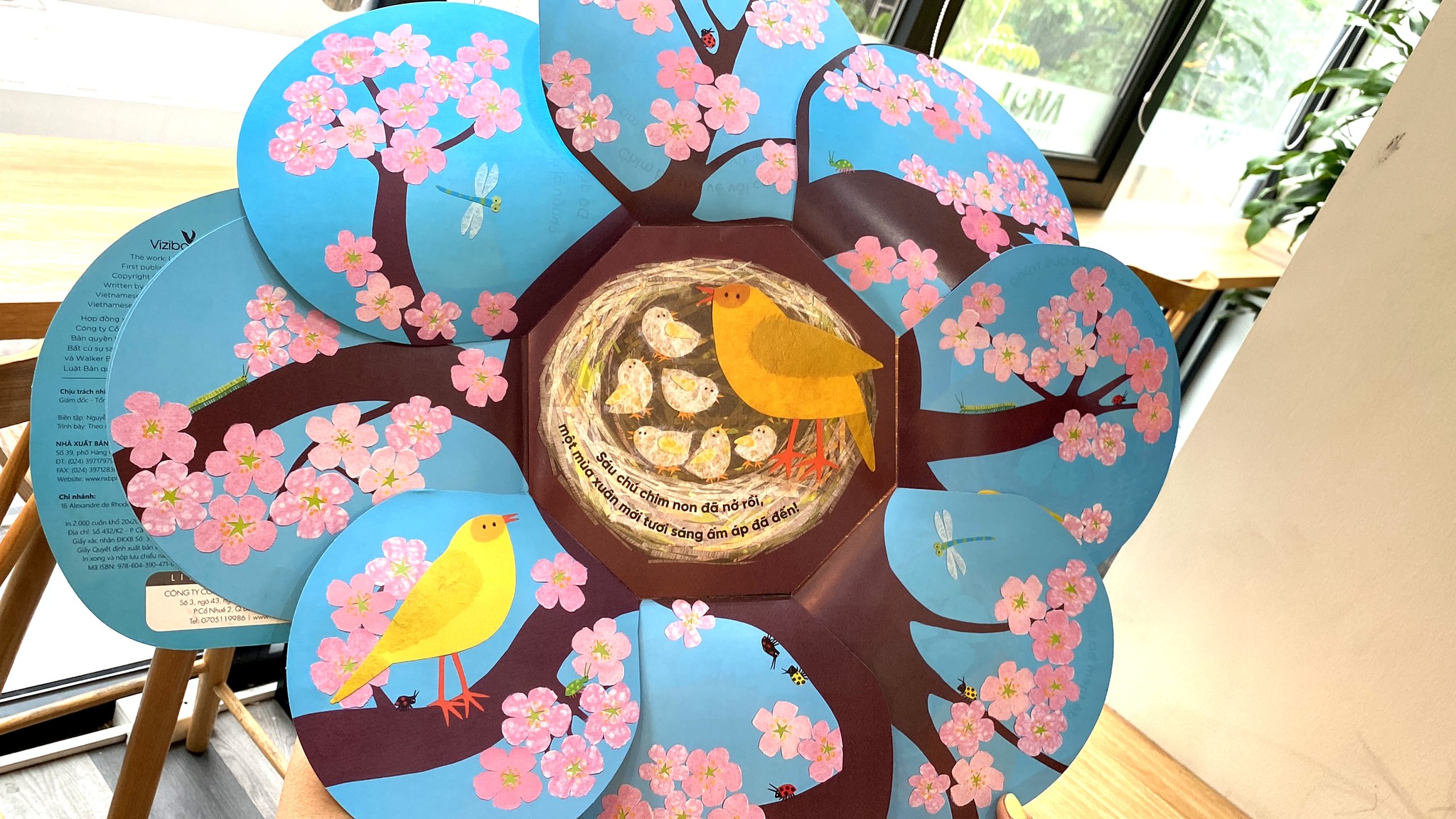 vòng đời kỳ diệu - trứng nhỏ nở chim non