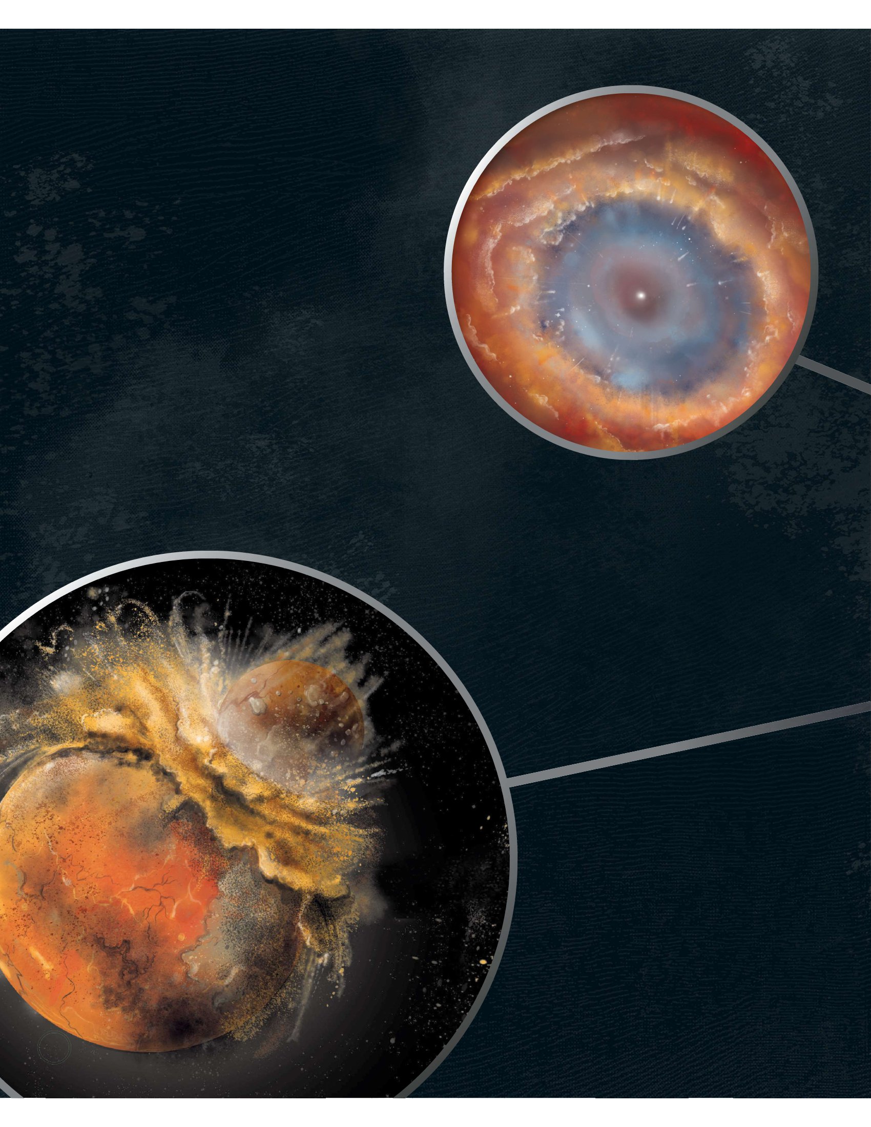 vòng đời - life cycles