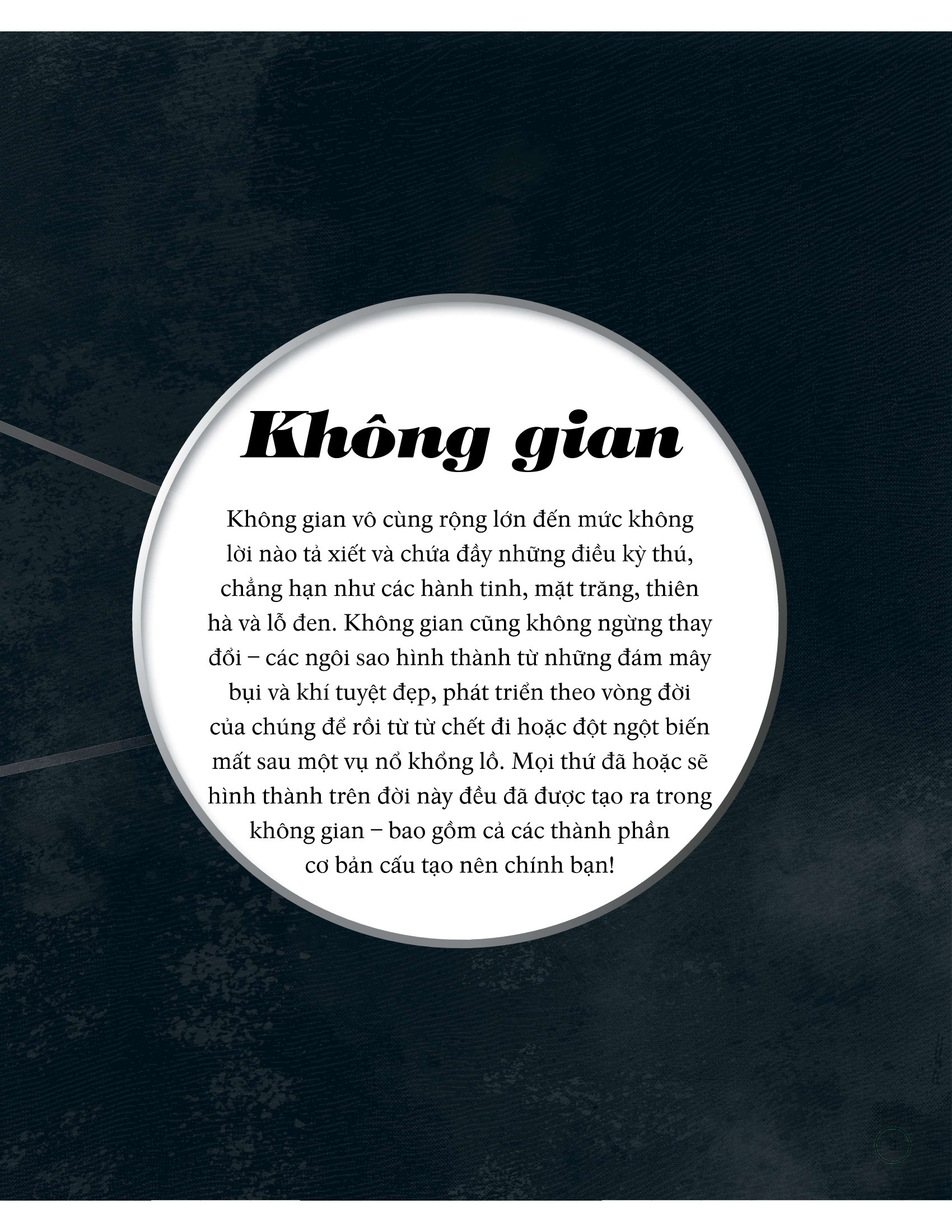 vòng đời - life cycles