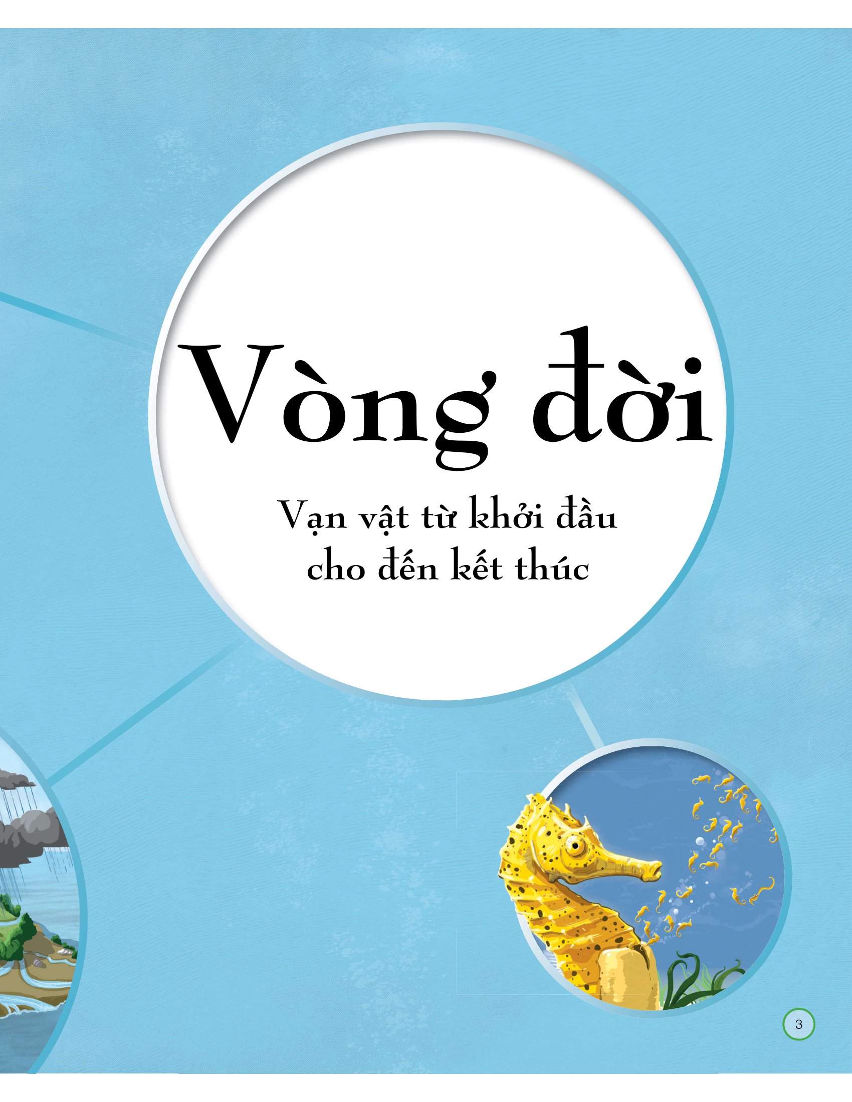 vòng đời - life cycles