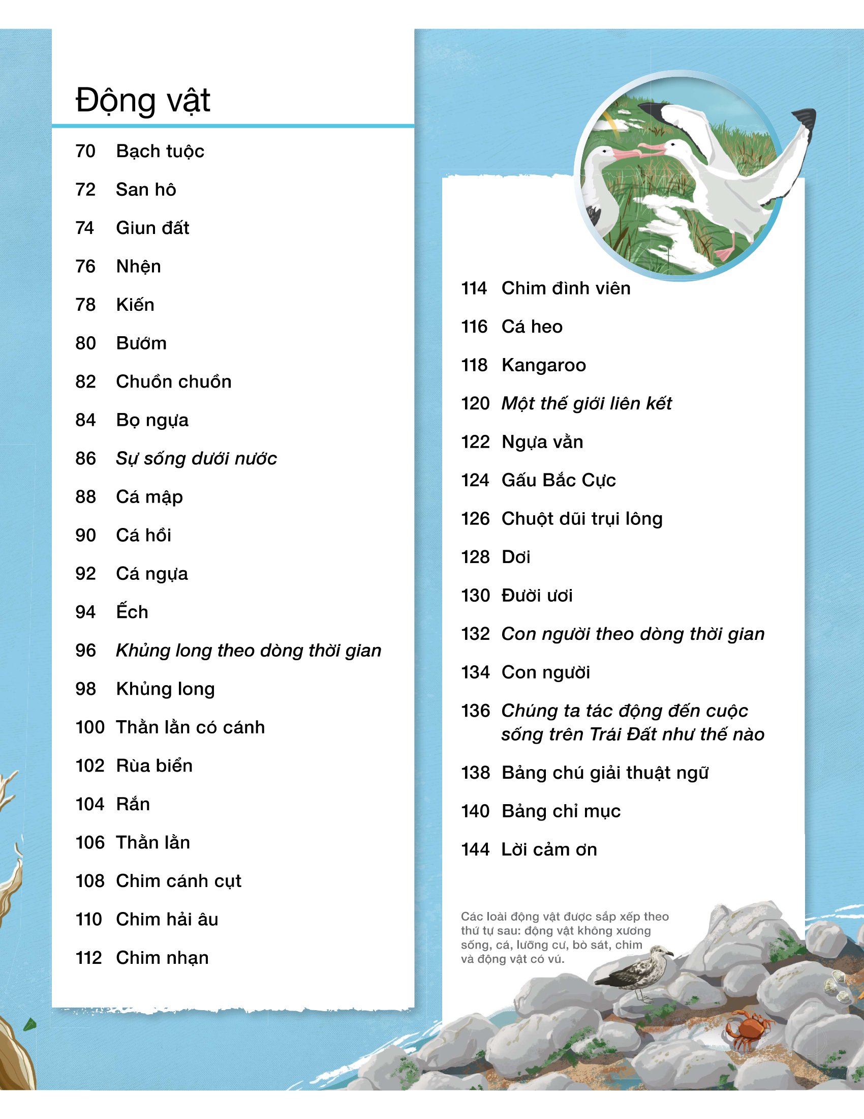 vòng đời - life cycles