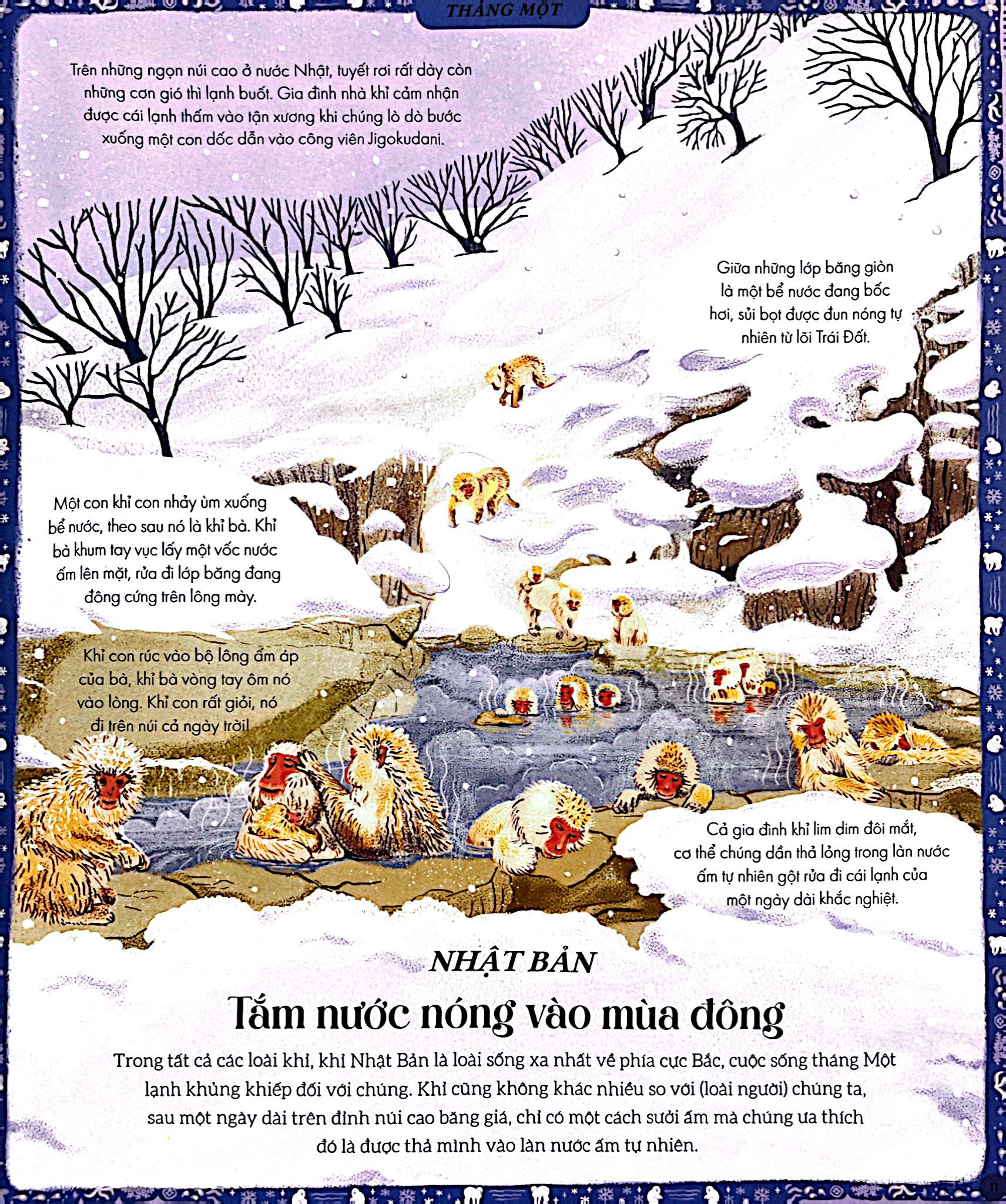 vòng quanh thế giới cùng mẹ thiên nhiên - bìa cứng