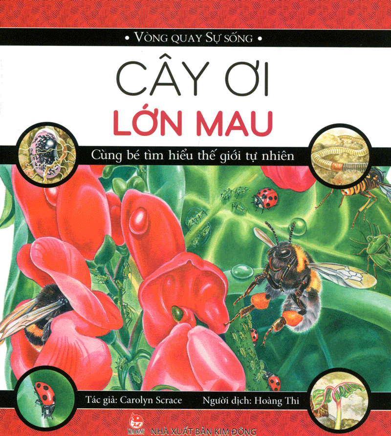 vòng quay sự sống - cây ơi lớn mau