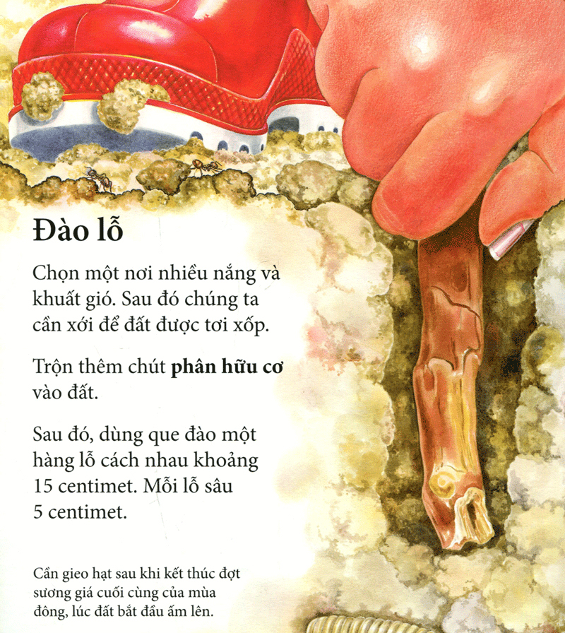 vòng quay sự sống - cây ơi lớn mau