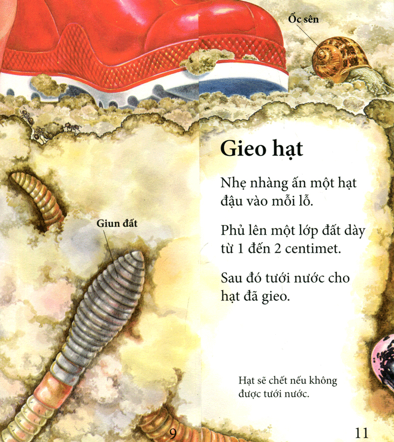 vòng quay sự sống - cây ơi lớn mau