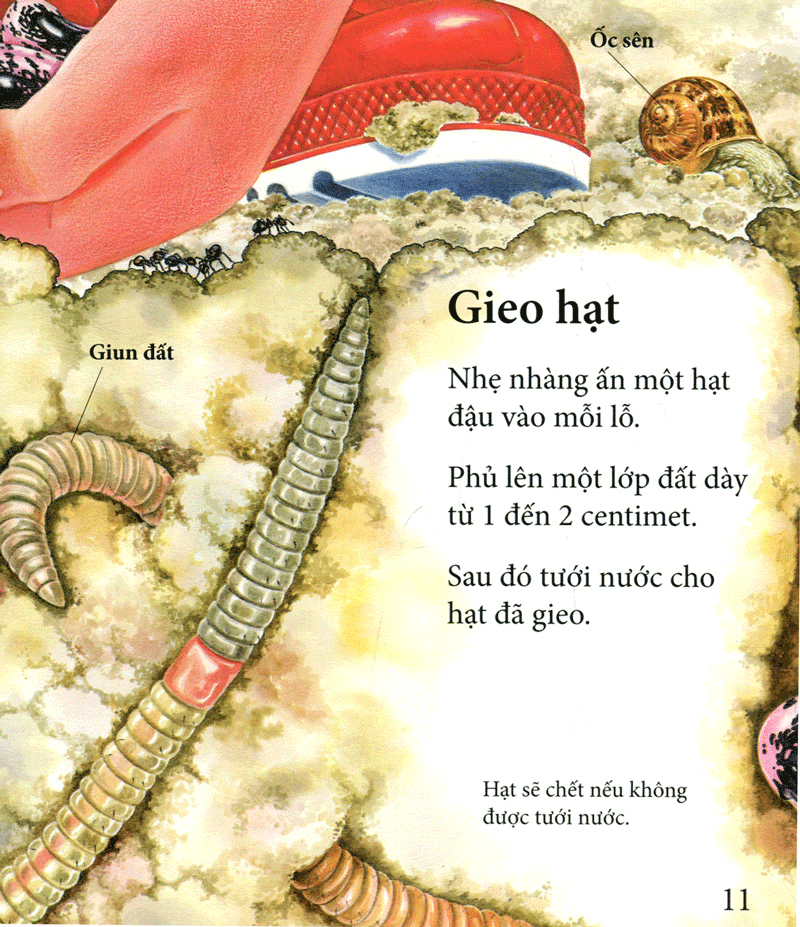 vòng quay sự sống - cây ơi lớn mau