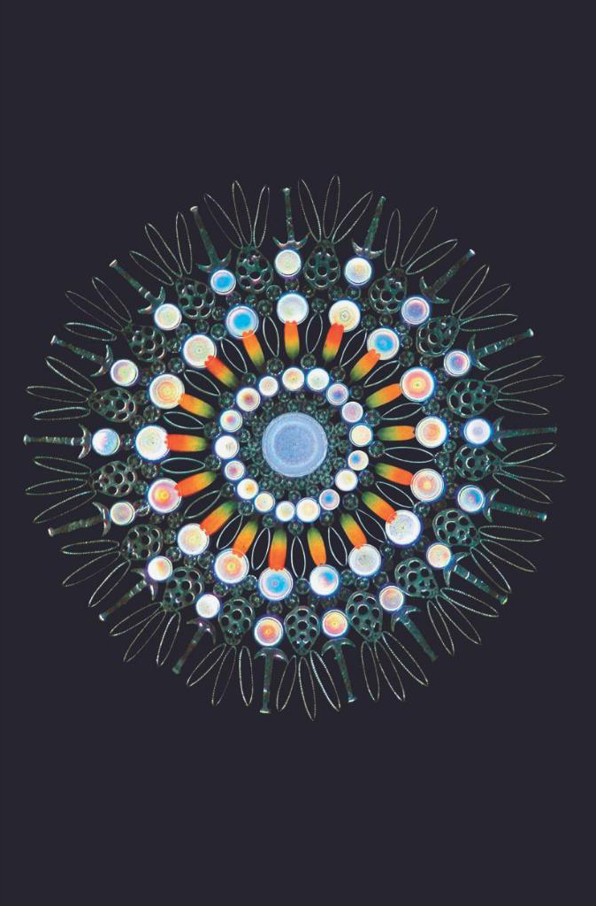 vũ trụ - những thế giới khả hữu - cosmos - possible worlds - bìa cứng