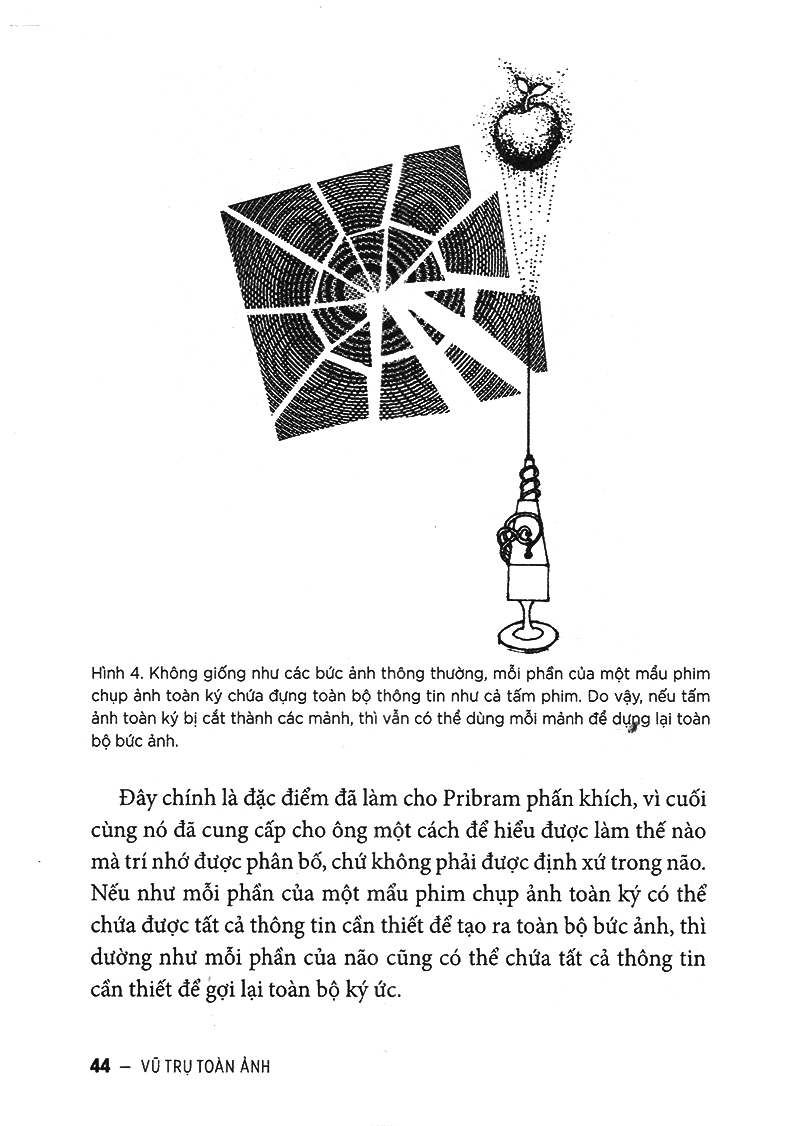 vũ trụ toàn ảnh