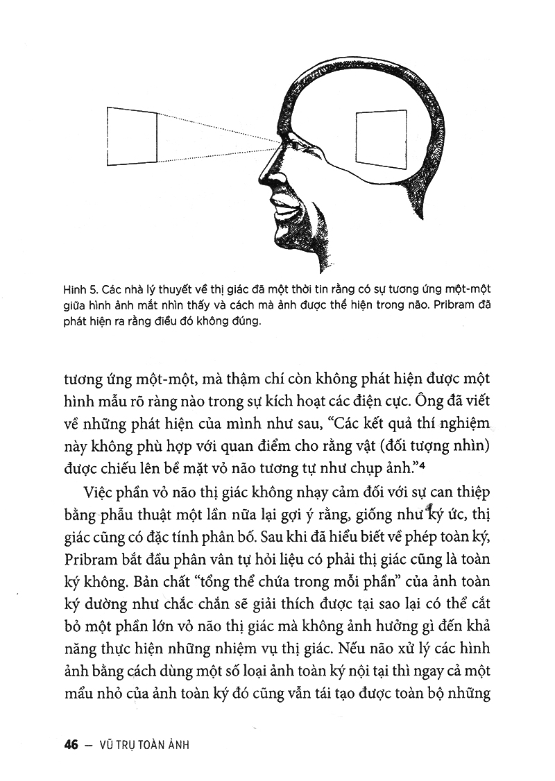 vũ trụ toàn ảnh