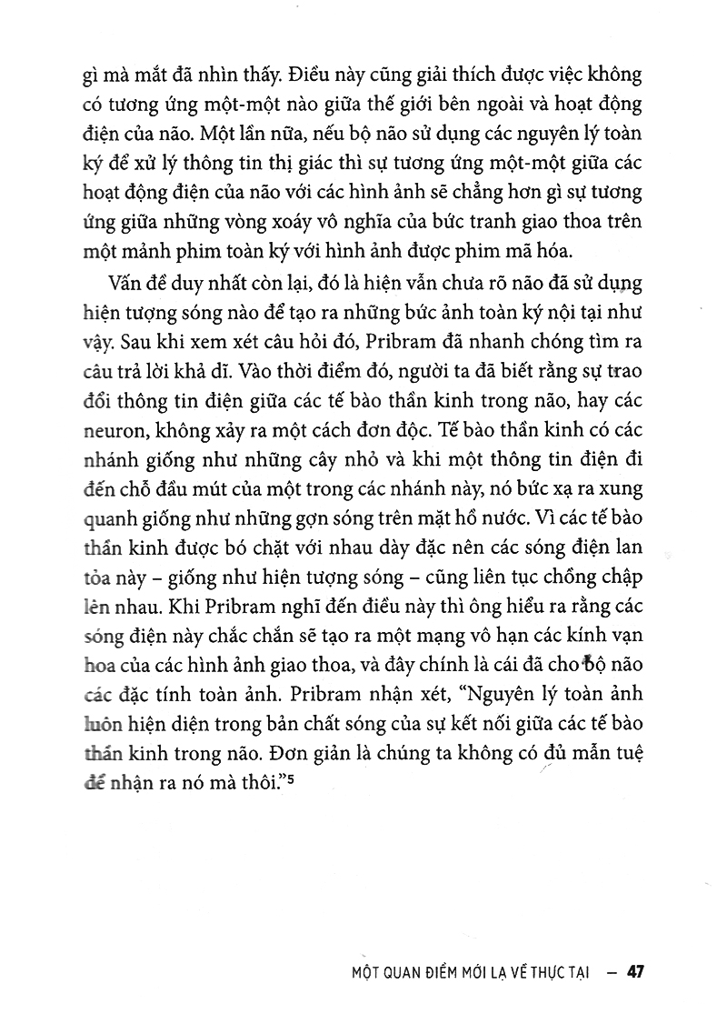 vũ trụ toàn ảnh