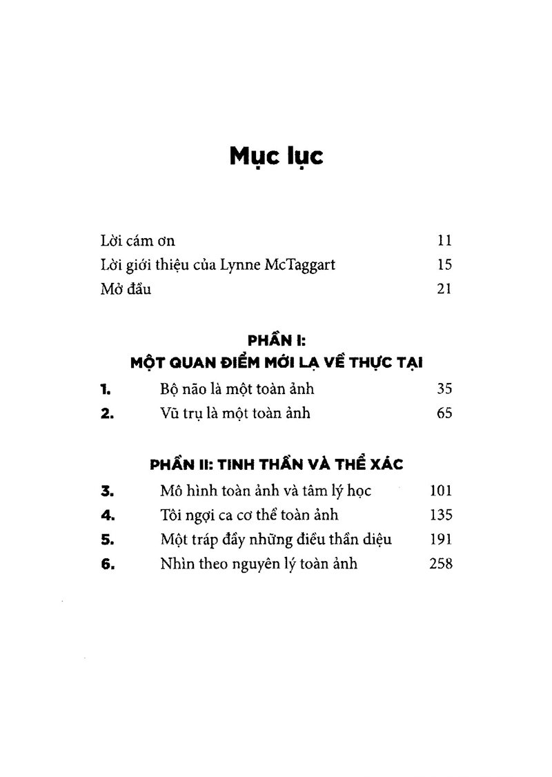 vũ trụ toàn ảnh